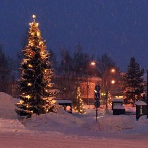 Jouluvalot, viidenkymmenen joulukuusen valot Kuhmo