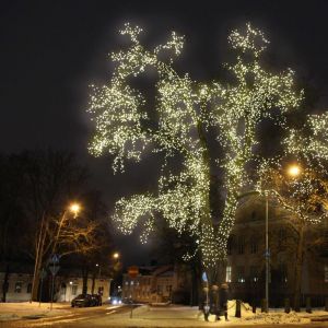 Valoteos, viimeisin toteutus Hämeenlinna